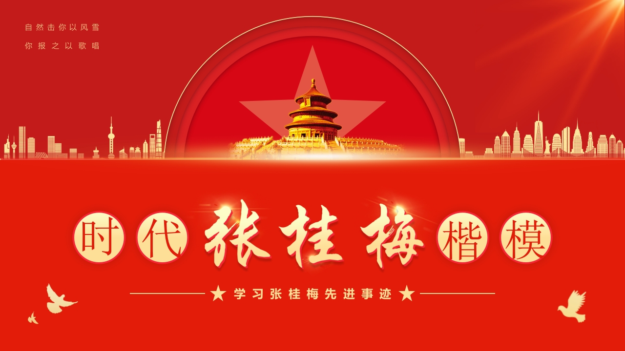 学习张桂梅先进事迹专题党课ppt模板