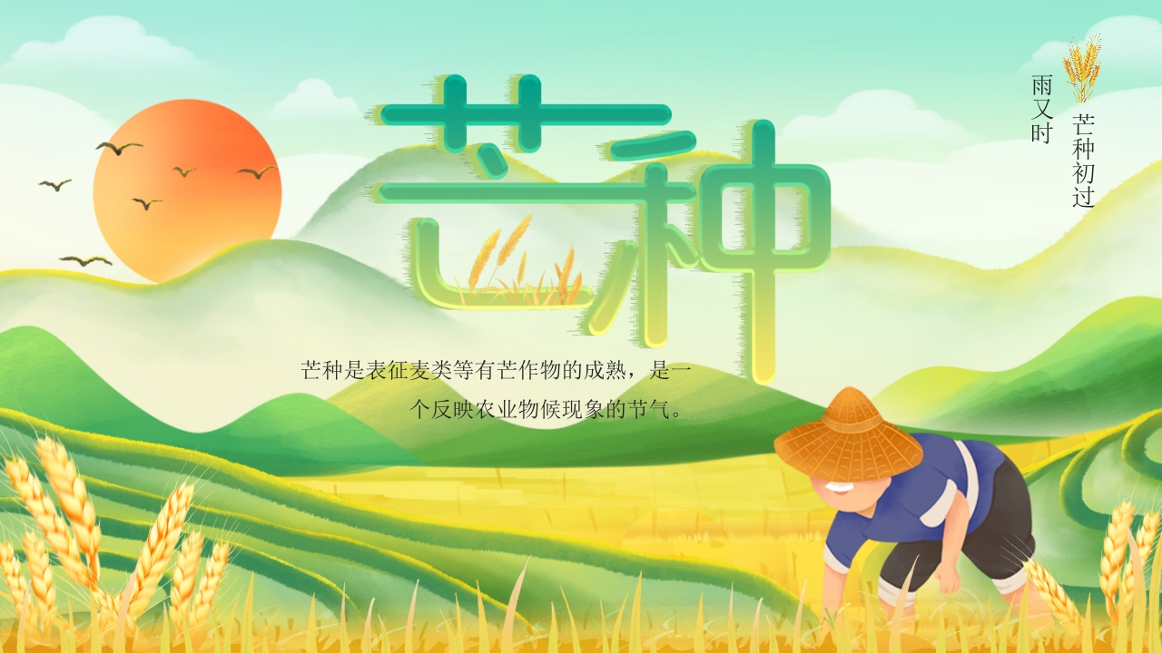 简约风二十四节气之芒种节日介绍ppt模板