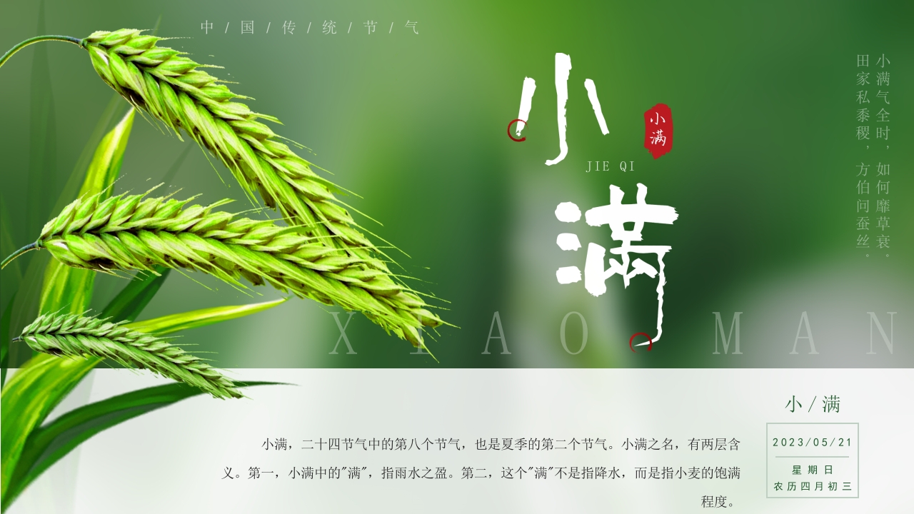 2025二十四节气小满ppt模板