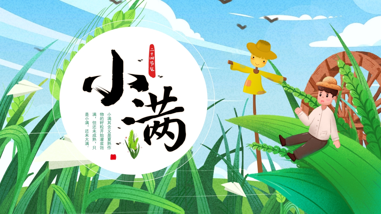 小清新卡通插画风小学生传统二十四节气之小满节气介绍PPT课件模板