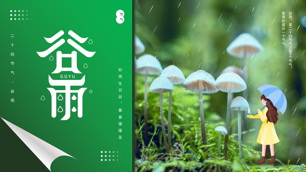 绿色卡通风二十四节气之谷雨节气介绍PPT