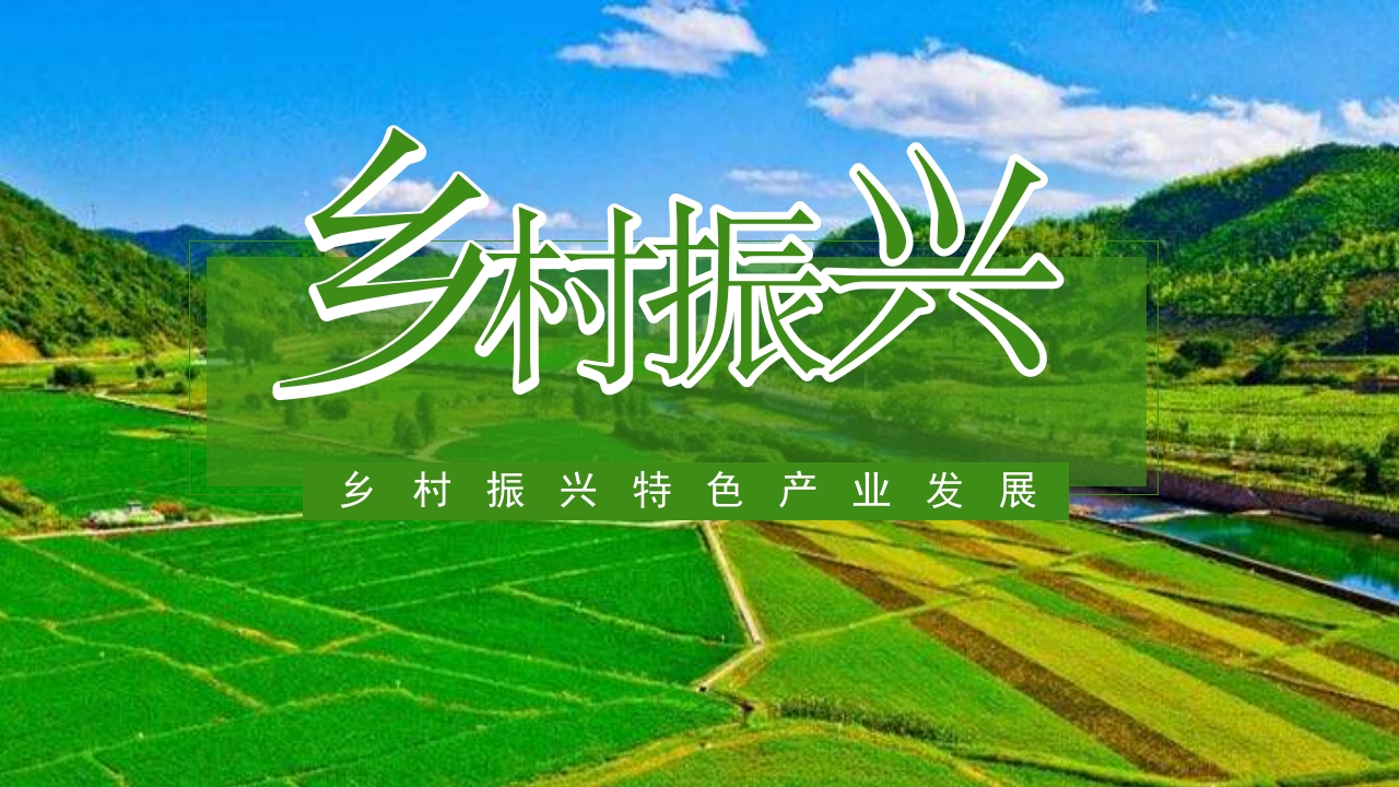 乡村振兴产业融合情况特色产业发展PPT模板