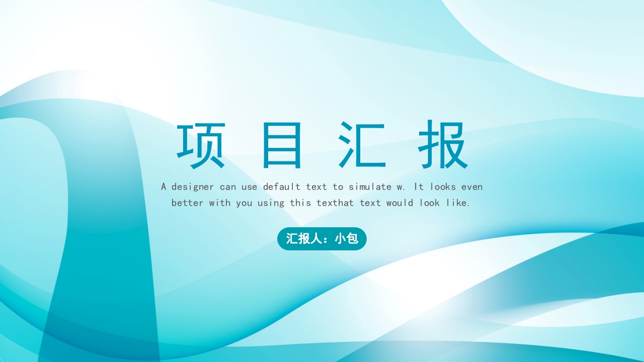 项目汇报PPT