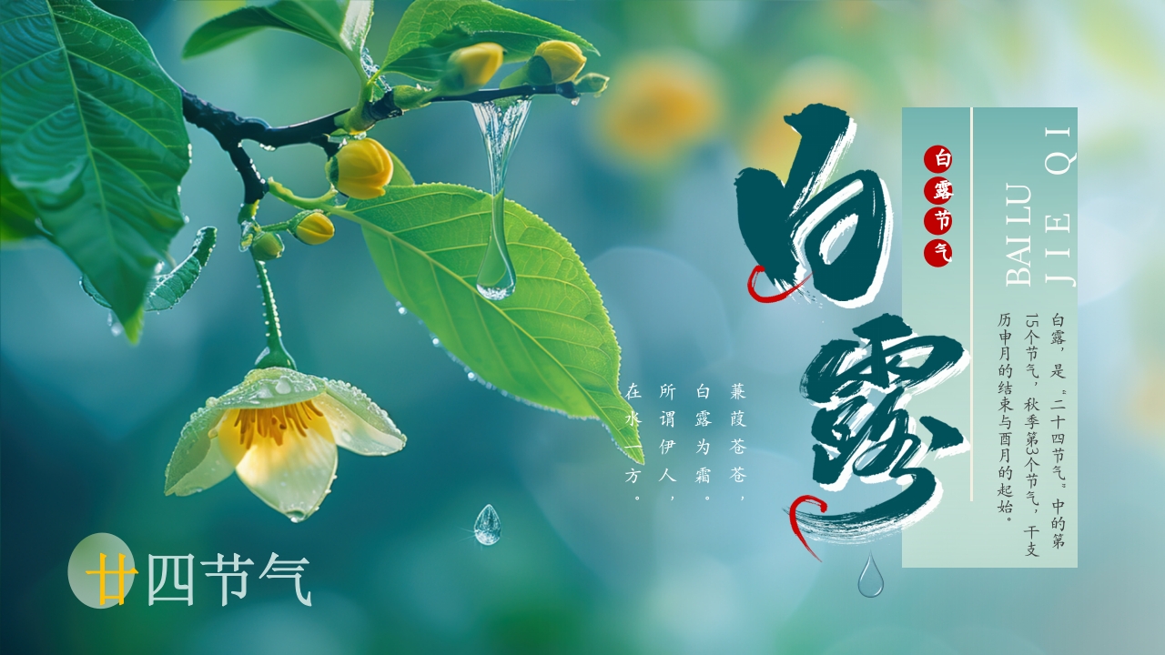 简约风二十四节气白露节气ppt模板