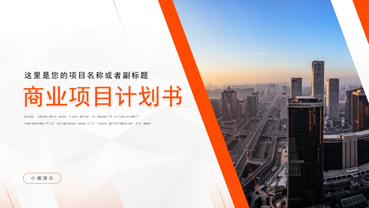 商业项目计划书ppt模板